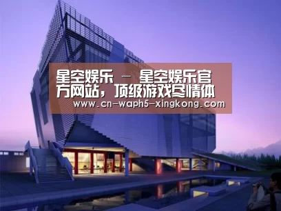 案例展示六