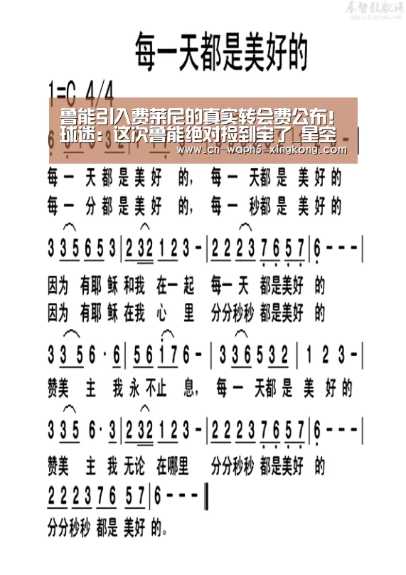 鲁能引入费莱尼的真实转会费公布!球迷:这次鲁能绝对捡到宝了_星空娱乐下载(图2) 星空娱乐下载