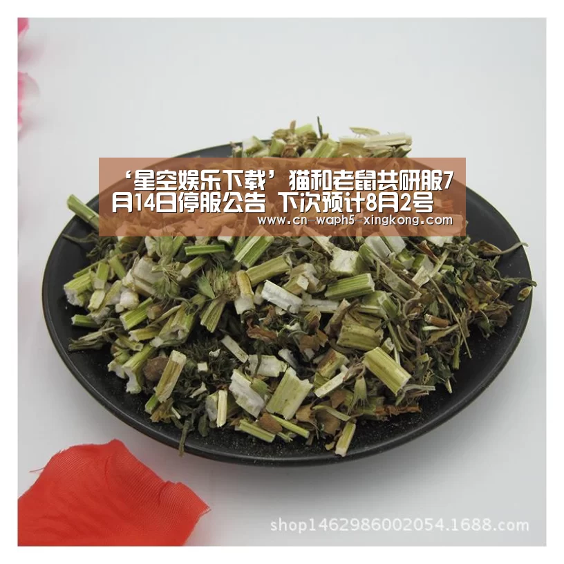 星空娱乐app